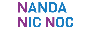 Logo Nanda Nic Noc