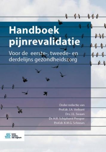Voorkant - Handboek pijnrevalidatie