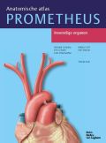 Voorkant - Prometheus Anatomische atlas 2