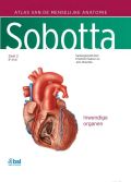 Voorkant - Sobotta 2 Inwendige organen