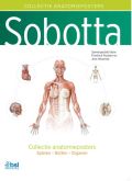 Voorkant - Sobotta - Collectie anatomieposters