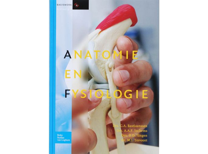 Voorkant - Anatomie en fysiologie