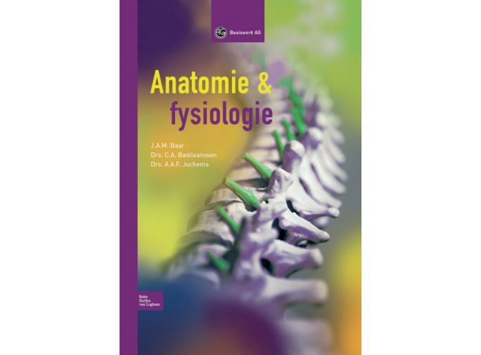 Voorkant - Anatomie en fysiologie
