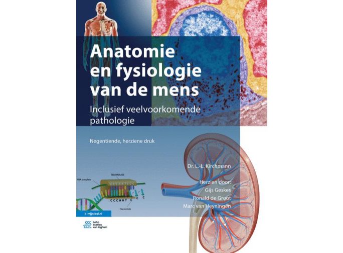 Voorkant - Anatomie en fysiologie van de mens