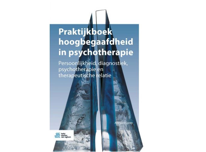 Voorkant - Praktijkboek hoogbegaafdheid in psychotherapie