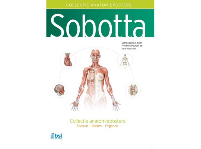 Voorkant - Sobotta - Collectie anatomieposters