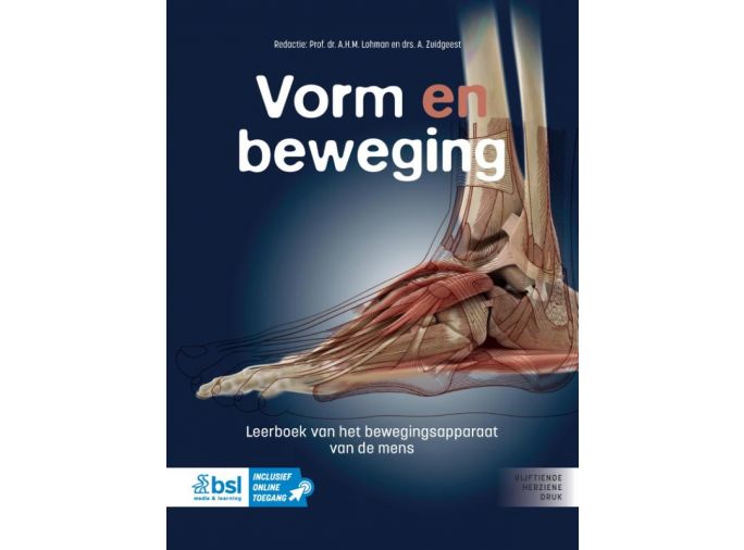 Voorkant - Vorm en beweging
