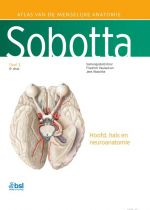 Voorkant - Sobotta 3 Hoofd, hals en neuroanatomie
