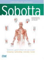 Voorkant - Sobotta Tabellen over spieren, gewrichten en zenuwen