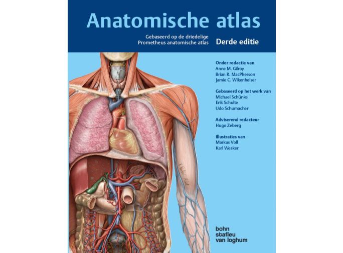 abces Voorbereiding Beangstigend BSL Shop | Anatomische Atlas