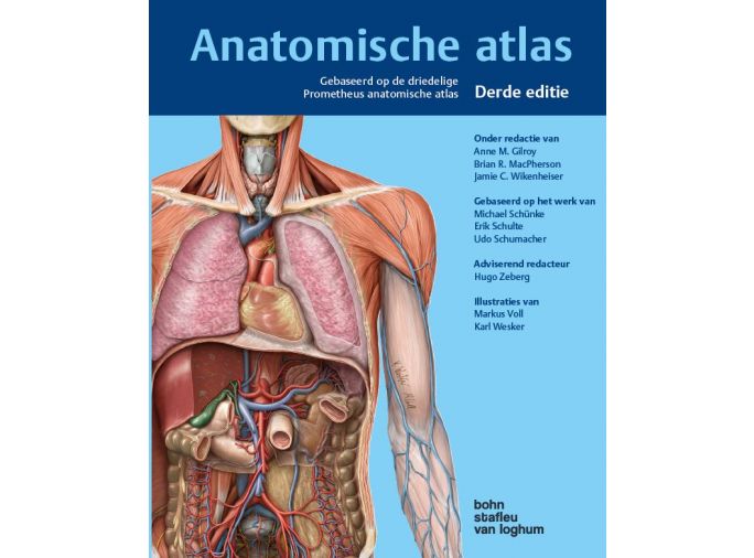 ding bouwer stel je voor BSL Shop | Anatomische Atlas